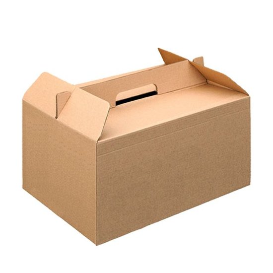 Take-away doos met handvat 245x135x120mm
