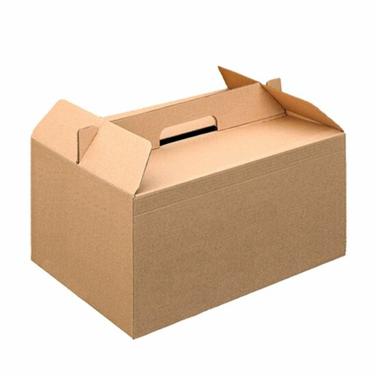 Take-away doos met handvat 370x270x250mm