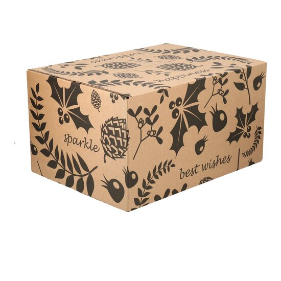 Kerstpakketdoos Sprankeling D 450x350x225mm