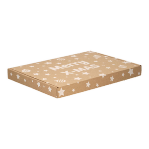 brievenbusdoos kerst