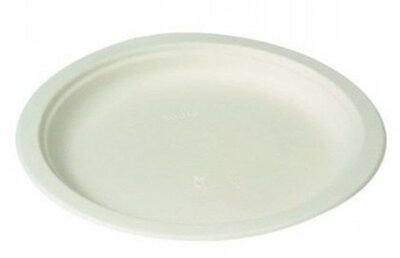 Wegwerp borden suikerriet wit 23cm Bio